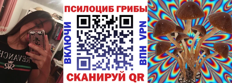 Галлюциногенные грибы Psilocybine cubensis  где найти наркотики  Шиханы 